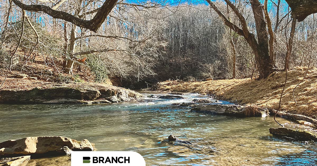 Taking Back the River: How Branch Helped Restore the South Mayo River